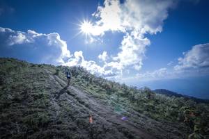 BIB: 100
                            <button type="button" onclick="openModal(15955400)" class="btn btn-primary btn-sm float-right btn-popup" data-toggle="modal" data-target=".modal-high-quality">
                        <i class="fas fa-shopping-cart"></i> Add to Cart
                    </button>
                                            <button type="button" onclick="isThisMe(15955400, true)" class="btn btn-success btn-sm float-right btn-popup btn-isme hidden" data-toggle="tooltip" data-placement="bottom" title="นี่คือรูปของคุณใช่ไหม คลิกที่นี่เพื่อเอาเข้าอัลบั้ม">
                        <i class="fas fa-plus"></i> Add to album
                    </button>
                    <button type="button" onclick="isThisMe(15955400, false)" class="btn btn-warning btn-sm float-right btn-popup btn-isnotme hidden">
                        <i class="fas fa-ban"></i> Remove from album
                    </button>